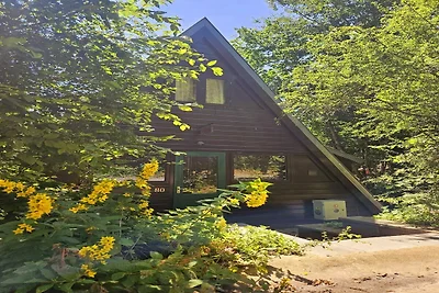 Hedendaagse Ardense chalet in Durbuy