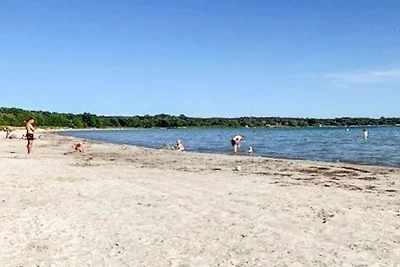 4 Sterne Ferienhaus in SÖLVESBORG