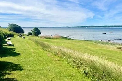 8 persoons vakantie huis in Ølsted-By Traum