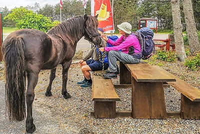 Campinghütte für 6 Personen in Rodhus,...