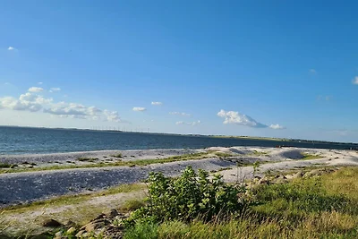 14 Personen Ferienhaus in Løgstør-By Traum