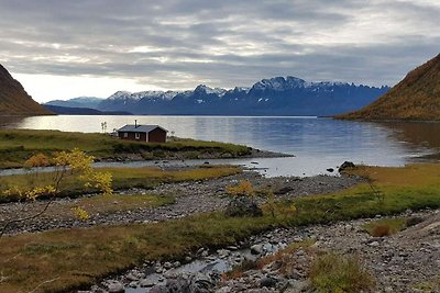 10 persoons vakantie huis in Reinfjord