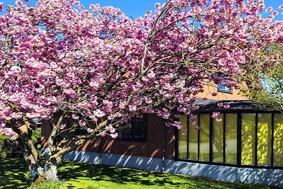 8 Personen Ferienhaus in Øster Assels-By...