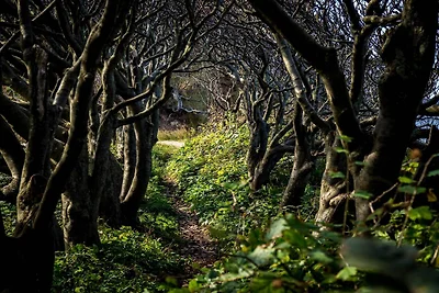 6 persone case ad Nykøbing Sj-By Traum