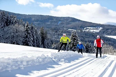 Hütte in Turrach mit Sauna und Wifi
