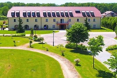 Jurjevec Castle - Standard room 12