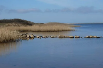 6 Personen Ferienhaus in Hemmet-By Traum