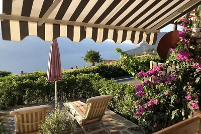 MAISON OLIVA D'ORO