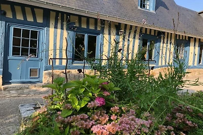 ||---Maison de Suzon---||