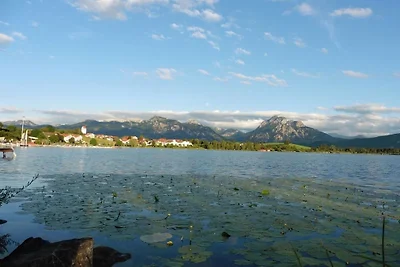 Keller - Seeblick