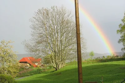 Büchele "Alpenuitzicht vanuit het...