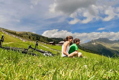 NEU! Hayloft Mountain