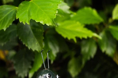 Wohnung in Arenal d'en Castell am Strand