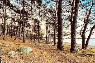 4 Sterne Ferienhaus in TJÖRN