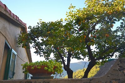 Ferienhaus am Hang mit Terrasse