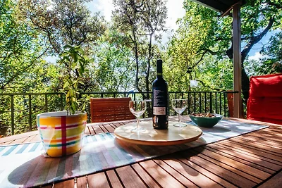 Kuća za odmor Dopust za oporavak Posedarje