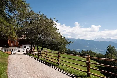 Chalet naturale Oberlechner