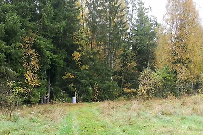 6 Personen Ferienhaus in Osby-By Traum