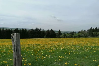 Dom wiejski Sorgenfrey