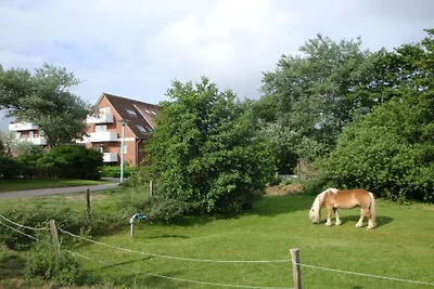 Ferienwohnung mit 2 Schlafzimmer
