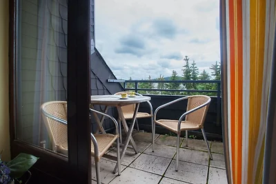Wohnung in Winterberg mit Sauna & Skilift
