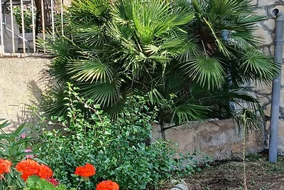 Studio Apartment with Terrace