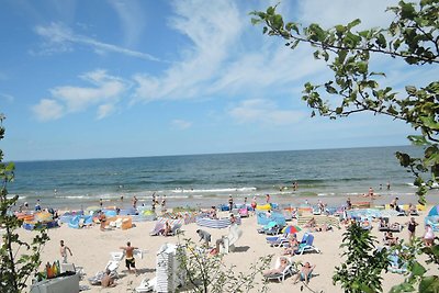 Komfortable Häuser am Wasser, nah am Meer.