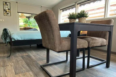 Rustige Wellnessvilla in Bellingwolde