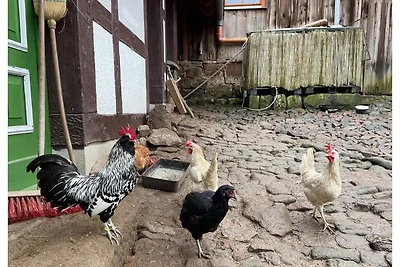 Apartament wakacyjny w ośrodku