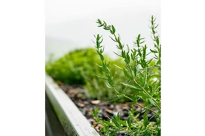 Appartamento per le vacanze con 1 camera da...