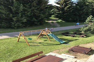 Wohnung in Harrachov mit Grill