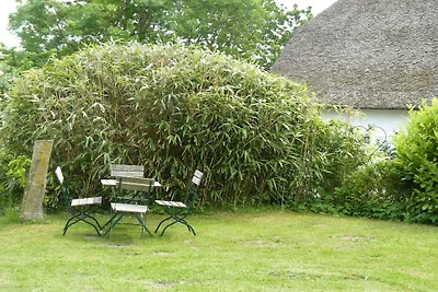 Ferienhaus mit 2 Schlafzimmer