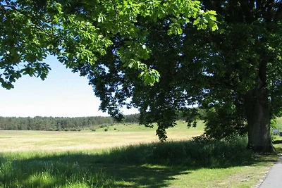 Im Ferienpark Lenzer Höh I