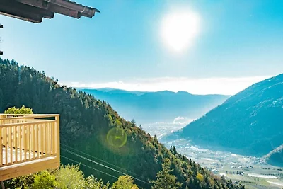 Kastanie Niederhaushof