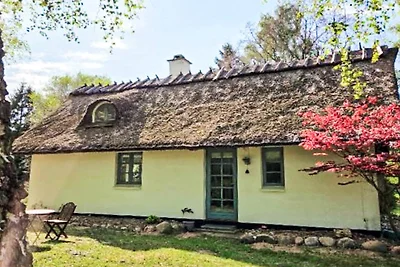 9 Personen Ferienhaus in Frederiksværk