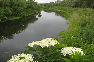 6 Personen Ferienhaus in Kolind-By Traum