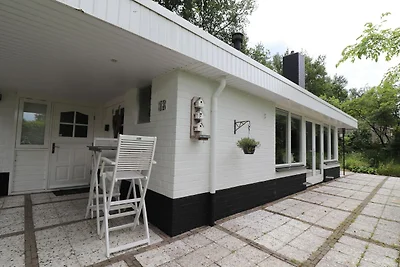 Vakantiehuis in Reutum met Vijver en Paden