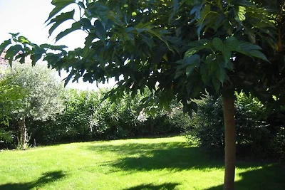 Ferienhaus in Serignan mit Schwimmbecken