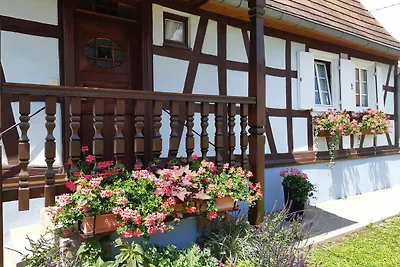 Gezellig vakantiehuis in Schleithal met tuin