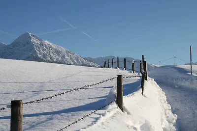 Fellhorn in het gastenverblijf Auffenberg