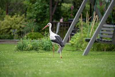 Sommerhaus in Dąbrowa am Meer