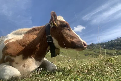 Diana - Seeg im Allgäu