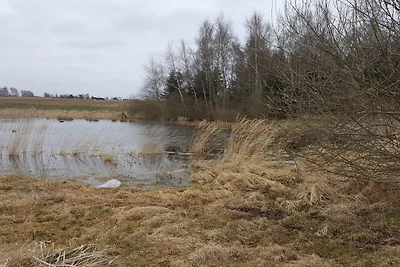 6 Personen Ferienhaus in Jægerspris-By Traum