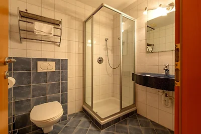 Wohnung Neustift nahe Stubaier Gletscher