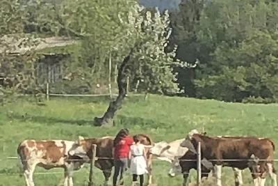 Ferienhaus mit 1 Schlafzimmer
