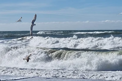 12 Personen Ferienhaus in Harboøre-By Traum