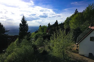 Chalet Bergweide