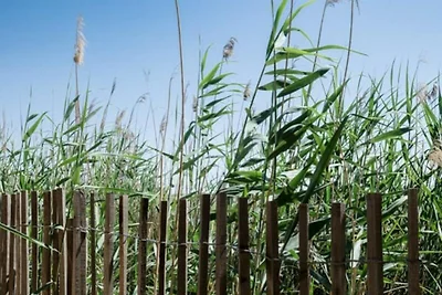 Villa in Aigues-Mortes mit Pool & Blick