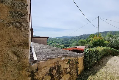 Wohnung in Orbicciano mit Pool