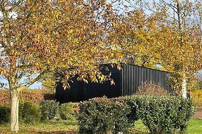 Schönes Ferienhaus mit Schwimmbad